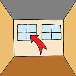Window