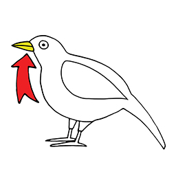 Beak
