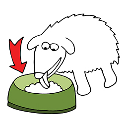 Feeding bowl
