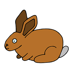 Bunny