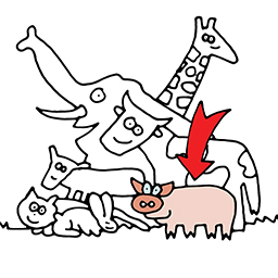 Pig